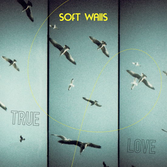 Soft Walls · True Love (LP) (2024)