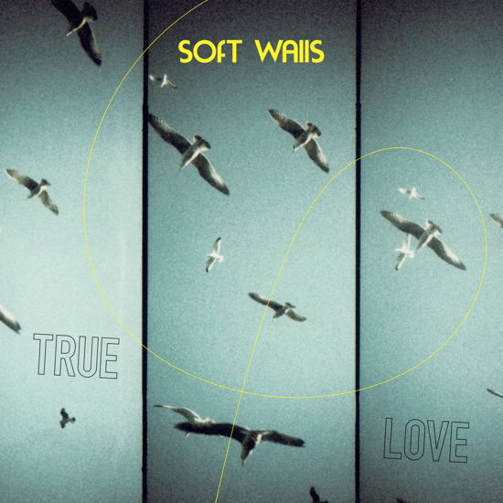 Cover for Soft Walls · True Love (LP) (2024)