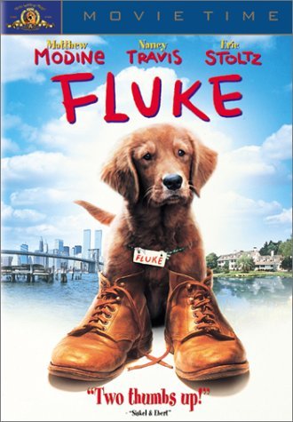 Cover for Fluke (1995) [DVD] (DVD) (2023)