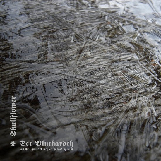 Cover for Der Blutharsch &amp; Skullflower · A Collaboration (CD) [Limited edition] [Digipak] (2020)