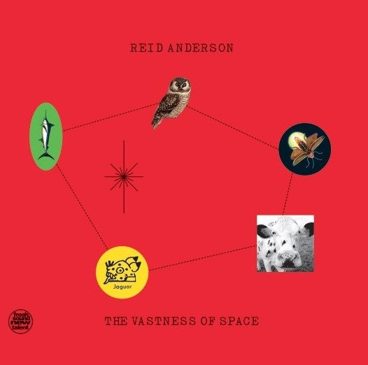Cover for Reid Anderson · Vastness Of Space (LP) (2022)