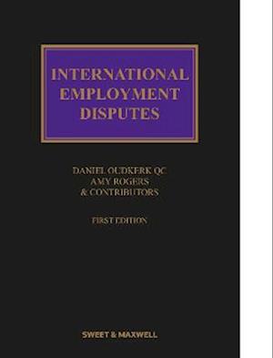 Cover for Amy Rogers · International Employment Disputes (Hardcover Book) [Ed edition] (2019)