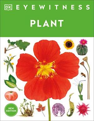 Cover for Dk · Eyewitness Plant (Book) (2025)