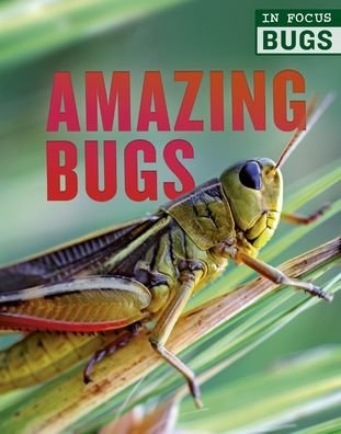 Cover for Camilla de la Bedoyere · Amazing Bugs (Bog) (2020)
