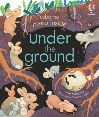 Cover for Anna Milbourne · Peep Inside Under the Ground - Peep Inside (Board book) (2022)