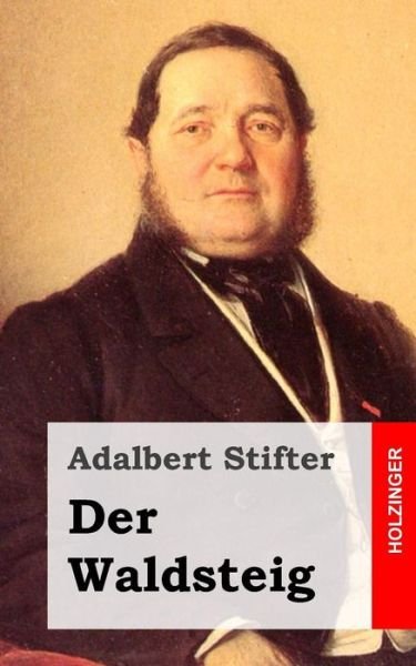 Cover for Adalbert Stifter · Der Waldsteig (Pocketbok) (2013)