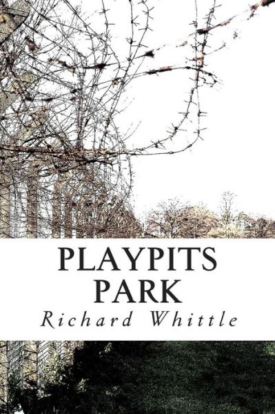 Cover for Richard Whittle · Playpits Park (Paperback Book) (2013)