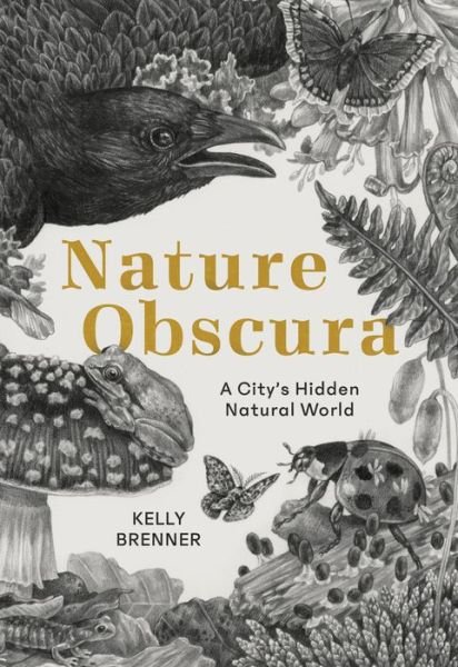 Cover for Kelly Brenner · Nature Obscura A City's Hidden Natural World (Paperback Book) (2020)
