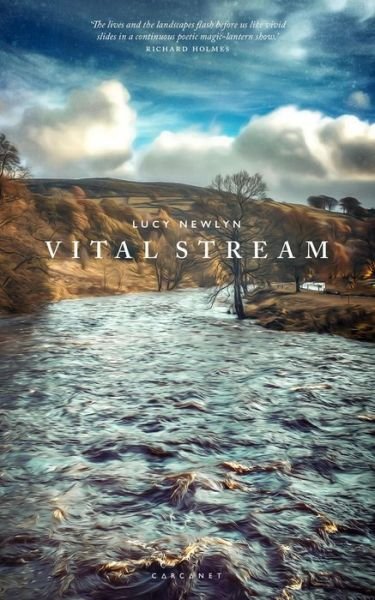 Cover for Lucy Newlyn · Vital Stream (Paperback Book) (2019)