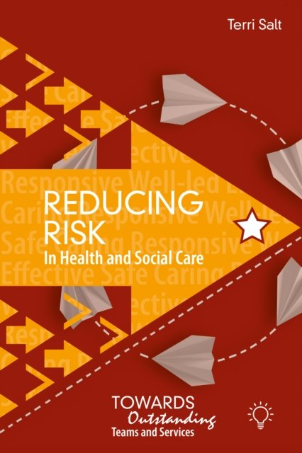 Cover for Terri Salt · Reducing Risk in Health and Social Care: Towards Outstanding Teams and Services (Paperback Book) (2023)