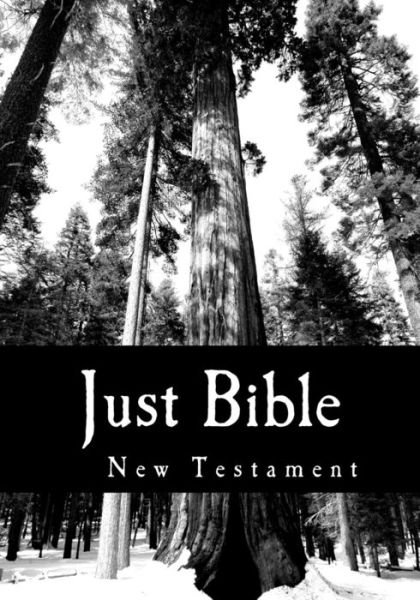 Cover for World English Translation · Just Bible (Paperback Bog) (2017)