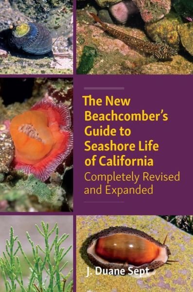 Cover for J. Duane Sept · The New Beachcombers Guide to Seashore Life of Californi: Completely Revised and Expanded 2023 (Paperback Book) (2023)