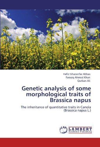 Cover for Qurban Ali · Genetic Analysis of Some Morphological Traits of Brassica Napus: the Inheritance of Quantitative Traits in Canola  (Brassica Napus L.) (Paperback Book) (2012)