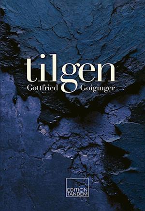 Cover for Gottfried Goiginger · Tilgen (Book) (2024)