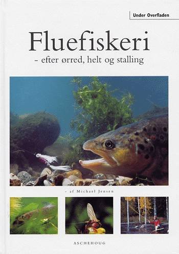 Cover for Michael Jensen · Under overfladen: Fluefiskeri (Book) [1.º edición] (2003)