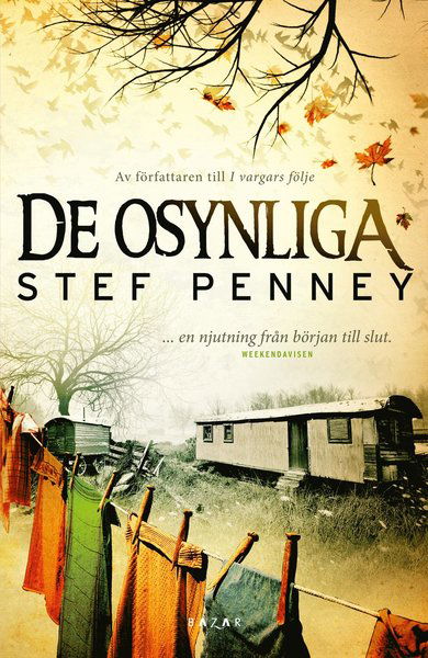 Cover for Stef Penney · De osynliga (Paperback Book) (2014)