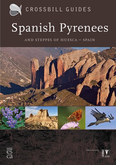 Cover for Dirk Hilbers · Spanish Pyrenees: And Steppes of Huesca - Spain (Paperback Book) [2 Revised edition] (2016)