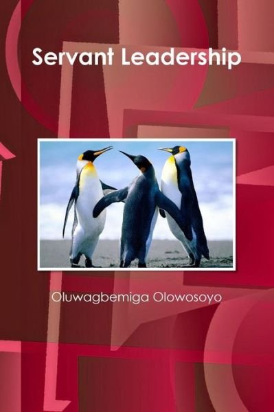 Cover for Oluwagbemiga Olowosoyo · Servant Leadership (Paperback Book) (2014)