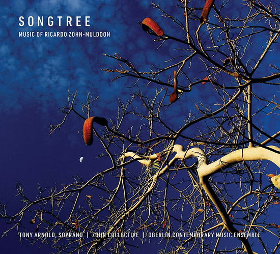 Songtree - Muldoon / Brown - Muziek - OB - 0045399107077 - 16 november 2018