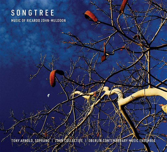 Songtree - Muldoon / Brown - Musique - OB - 0045399107077 - 16 novembre 2018