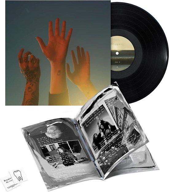 Boygenius · The Record (LP) (2023)