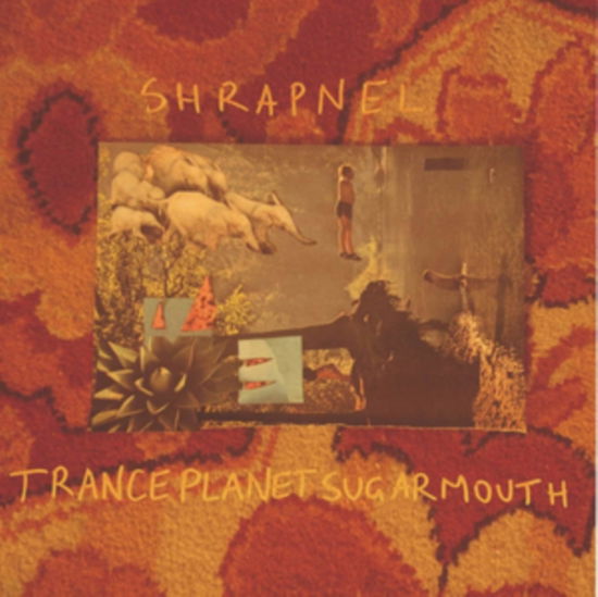 Cover for Shrapnel · Tranceplanetsugarmouth (CD) (2016)