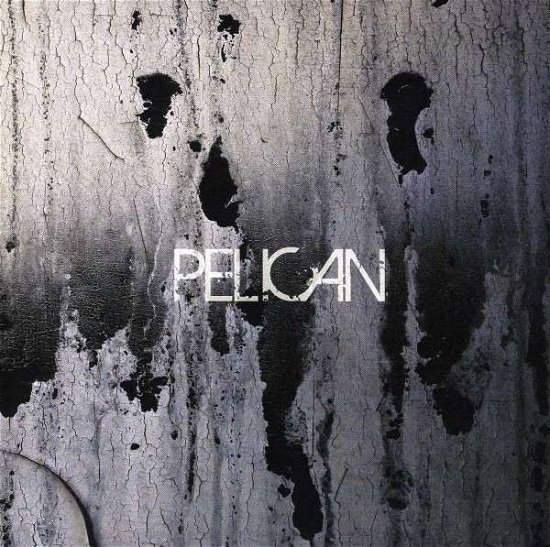 Cover for Pelican · Deny The Absolute b/w The Truc e - 7&quot; (LP) (2013)