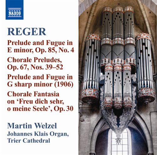 Reger 10: Organ Works - Reger / Welzel - Musiikki - NAXOS - 0747313096077 - tiistai 26. lokakuuta 2010