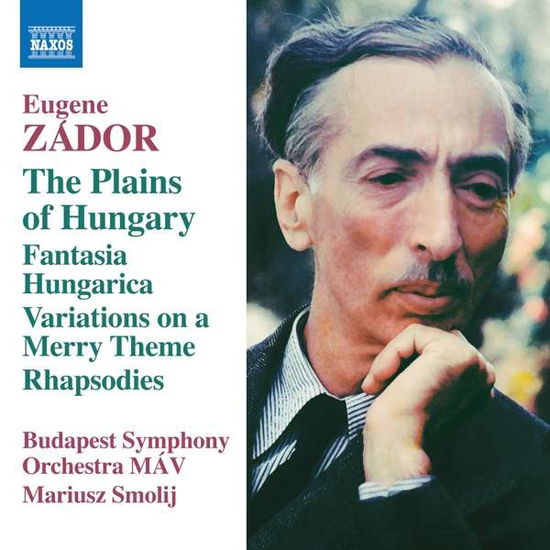 Plains of Hungary / Fantasia Hungarica - Zador / Balogh - Musiikki - NAXOS - 0747313380077 - perjantai 13. heinäkuuta 2018