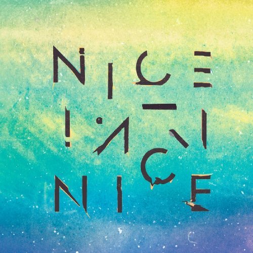 Cover for Nice Nice · See Waves (7 Inch Vinyl) (LP) (2010)