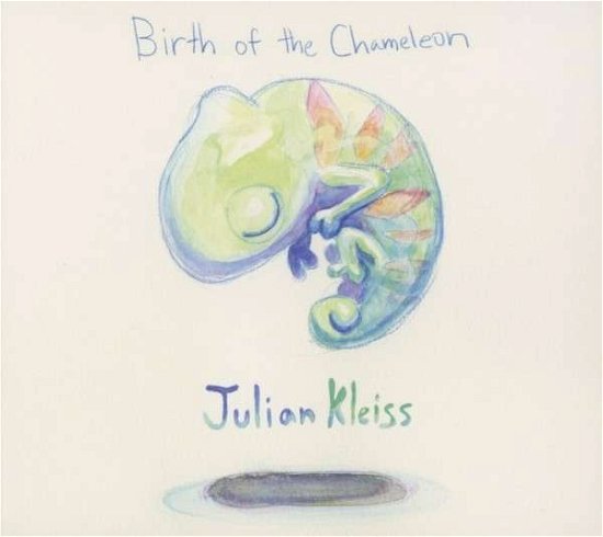 Birth Of The Chameleon - Julian Kleiss - Muziek - ACOUSTIC - 4013429115077 - 10 juni 2013
