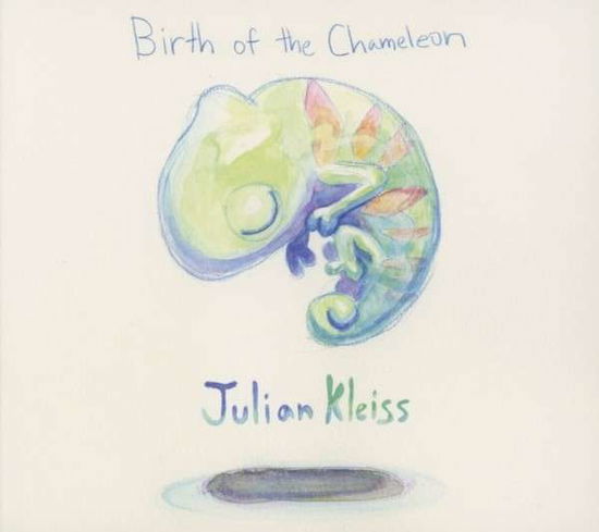 Birth Of The Chameleon - Julian Kleiss - Música - ACOUSTIC - 4013429115077 - 10 de junio de 2013