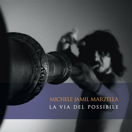 Cover for Michele Jamil Marzella · La Via Del Possibile (CD) (2014)