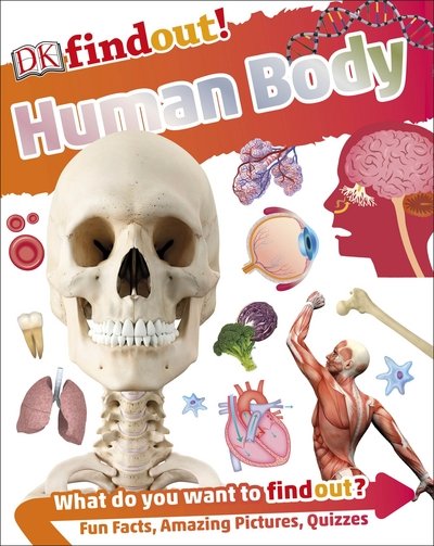 Cover for Dk · DKfindout! Human Body - DKfindout! (Paperback Book) (2017)