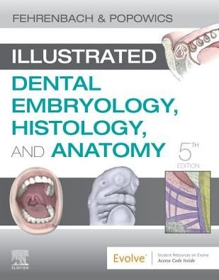 Cover for Fehrenbach, Margaret J. (Dental Hygiene Educational Consultant,Oral Biology Technical Writer,Adjunct Faculty,Seattle Central College,Seattle, Washington) · Illustrated Dental Embryology, Histology, and Anatomy (Pocketbok) (2020)