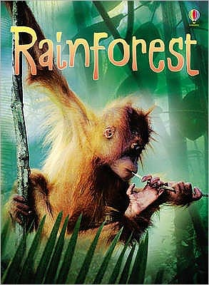 Cover for Lucy Bowman · Rainforests - Beginners (Innbunden bok) (2008)