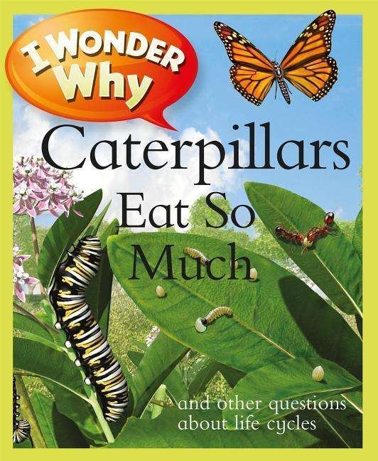 I Wonder Why Caterpillars Eat So Much: And Other Questions about Life Cycles - I Wonder Why (Paperback) - Belinda Weber - Books - Pan Macmillan - 9780753467077 - January 5, 2012
