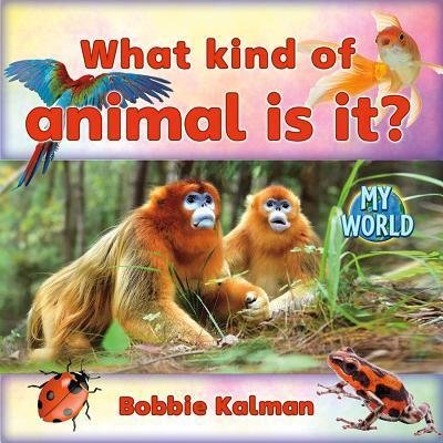 What Kind of Animal Is It? - Bobbie Kalman - Books - Crabtree Pub Co - 9780778796077 - February 1, 2018