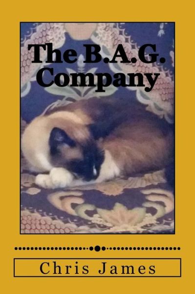 Cover for Chris James · The B.A.G. Company (Paperback Book) (2015)