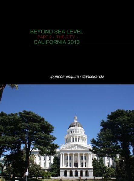 Cover for Tpprince · Beyond Sea Level Part 2- The Cities (Hardcover Book) (2020)