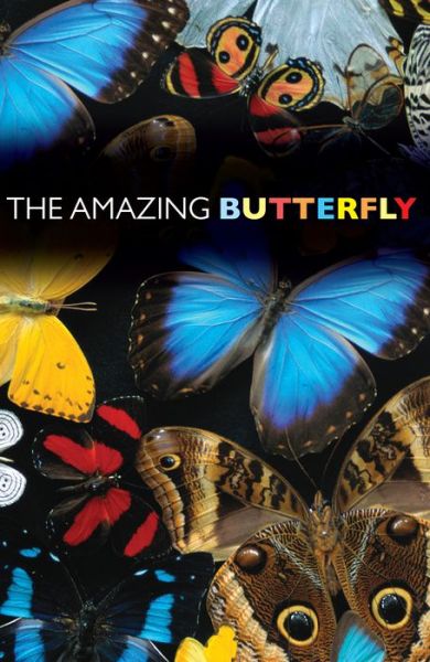 Amazing Butterfly  The (25-pack) - Good News Publishers - Books -  - 9781682160077 - January 31, 2001