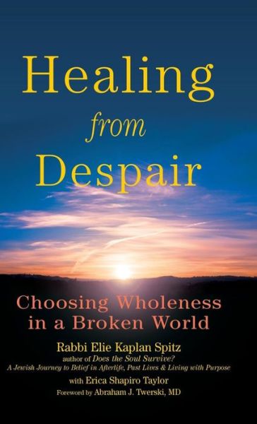 Cover for Rabbi Elie Kaplan Spitz · Healing from Despair: Choosing Wholeness in a Broken World (Hardcover Book) (2008)