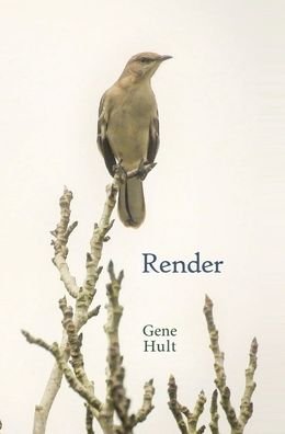 Cover for Gene Hult · Render (Hardcover Book) (2020)