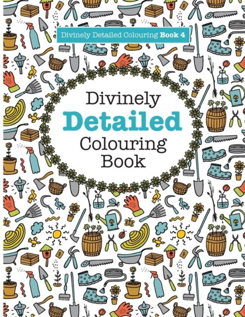 Cover for Elizabeth James · Divinely Detailed Colouring Book 4 (Paperback Bog) (2016)