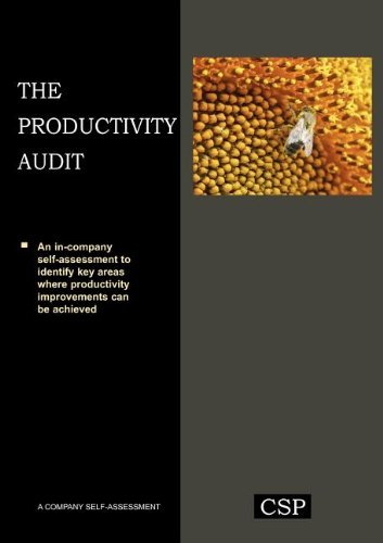 Cover for Paul Spence · The Productivity Audit (Paperback Book) (2010)