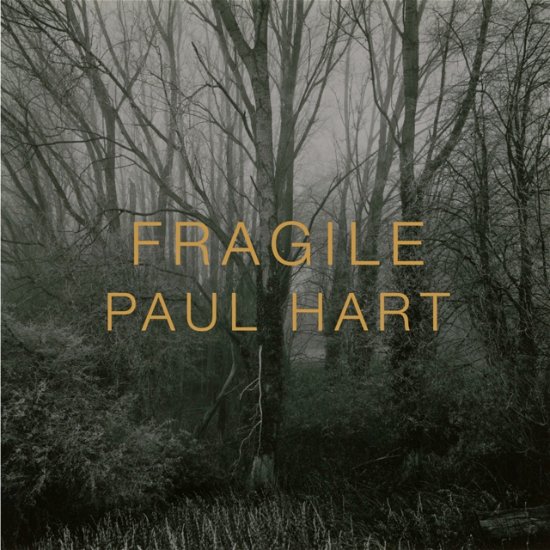 Cover for Fragile (Hardcover Book) (2024)
