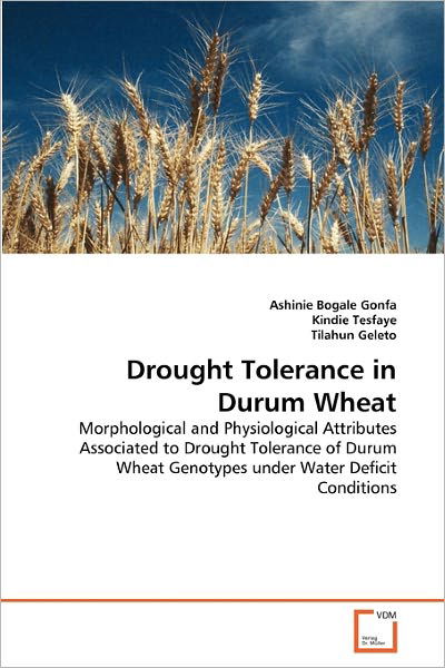 Cover for Tilahun Geleto · Drought Tolerance in Durum Wheat: Morphological and Physiological Attributes Associated to Drought Tolerance of Durum Wheat Genotypes Under Water Deficit Conditions (Paperback Bog) (2010)