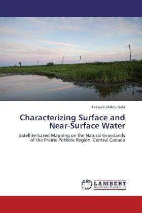 Cover for Gala · Characterizing Surface and Near-Su (Book)