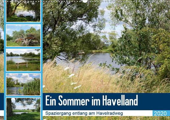 Cover for Frost · Ein Sommer im Havelland - Spazier (Book)