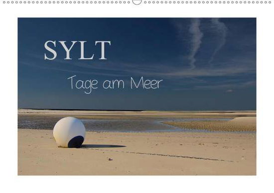 Cover for Hoeg · Sylt - Tage am Meer (Wandkalender (Book)